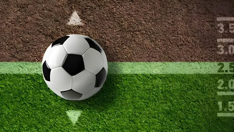 Kèo đa dạng, minh bạch, cung cấp thông tin cược chuyên nghiệp